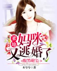 爹地妈咪又逃婚小说